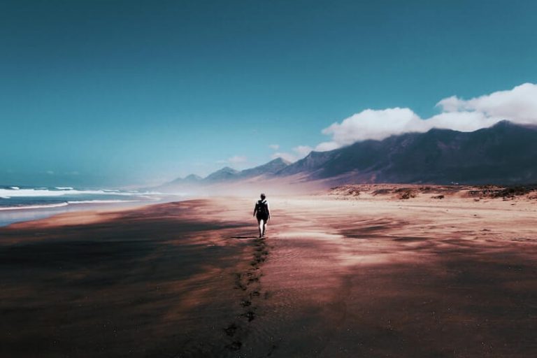 El obstáculo es el camino